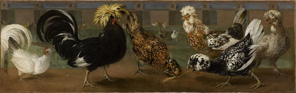 French Barnyard Vocabulary - The Social Eyes